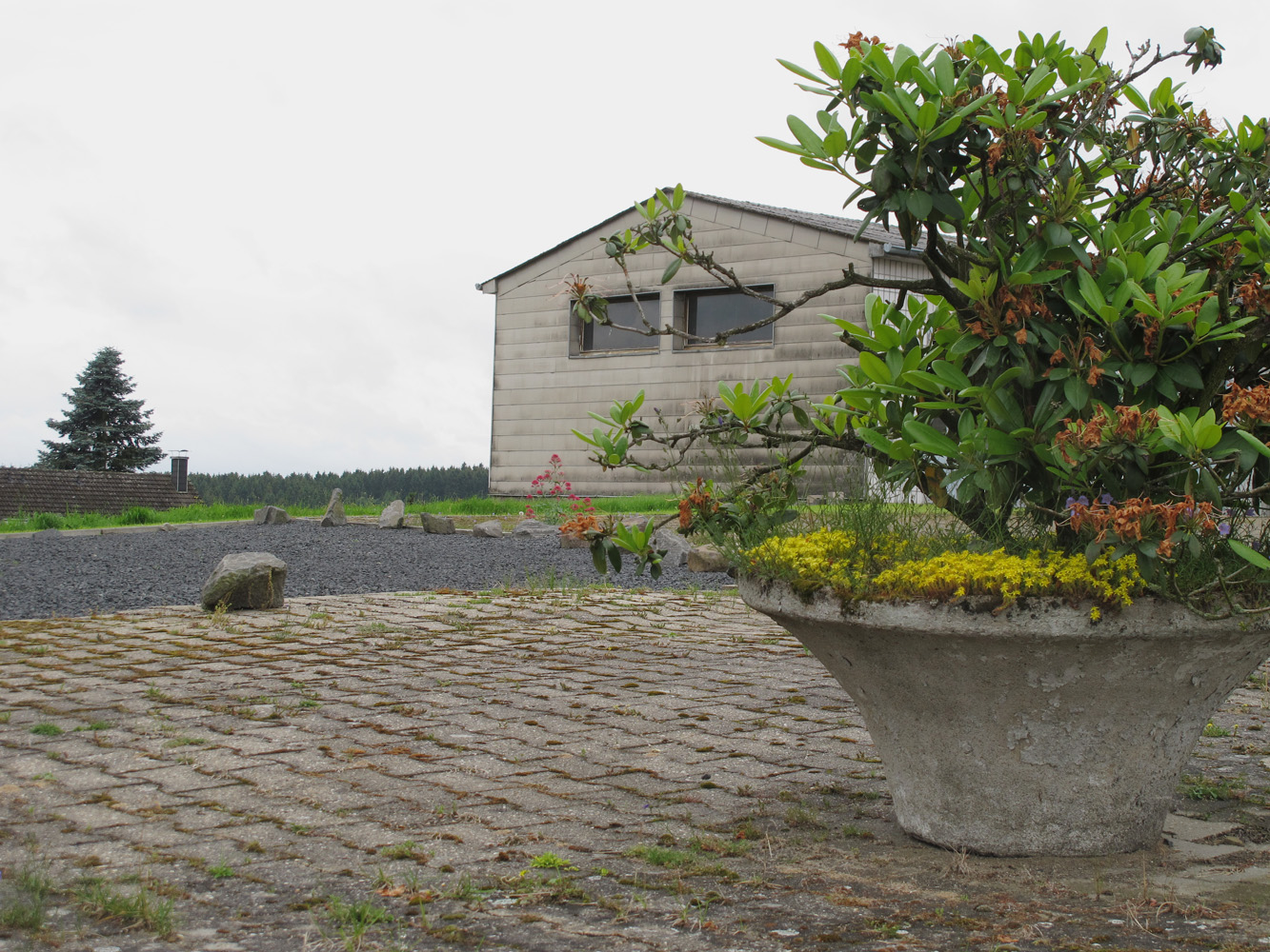 IMG_0073bilddestages1000